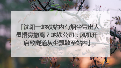 沈阳一地铁站内有烟尘冒出人员捂鼻撤离？地铁公司：风机开启致隧道灰尘飘散至站内