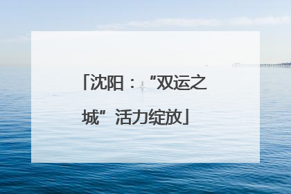沈阳：“双运之城”活力绽放