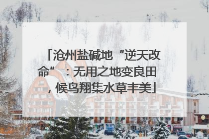 沧州盐碱地“逆天改命”：无用之地变良田，候鸟翔集水草丰美