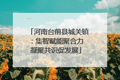 河南台前县城关镇：集智赋能聚合力 凝聚共识促发展
