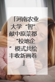 河南农业大学“智”献中原菜都 “校地企”模式共绘丰收新画卷