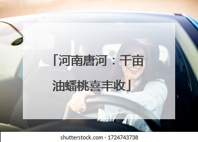 河南唐河：千亩油蟠桃喜丰收
