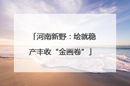 河南新野：绘就稳产丰收“金画卷”