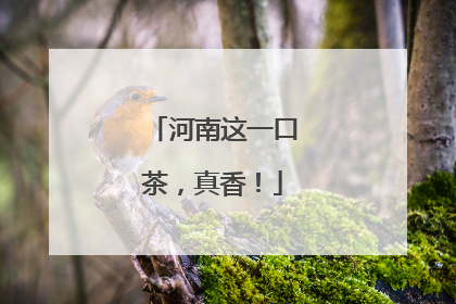 河南这一口茶，真香！