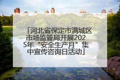 河北省保定市满城区市场监管局开展2025年“安全生产月”集中宣传咨询日活动