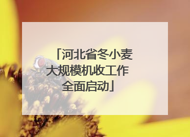 河北省冬小麦大规模机收工作全面启动