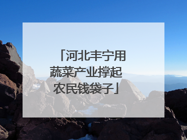 河北丰宁用蔬菜产业撑起农民钱袋子