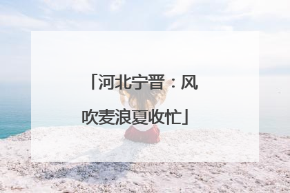 河北宁晋：风吹麦浪夏收忙
