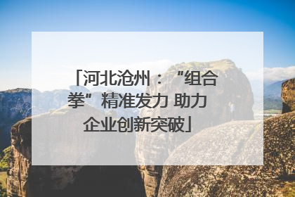 河北沧州：“组合拳”精准发力 助力企业创新突破