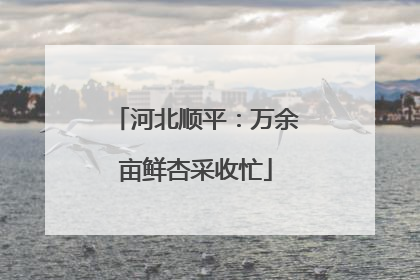 河北顺平：万余亩鲜杏采收忙