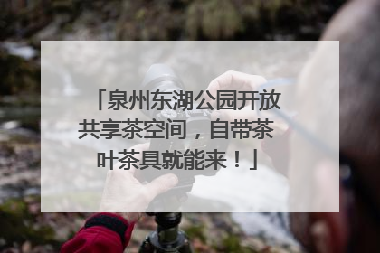 泉州东湖公园开放共享茶空间，自带茶叶茶具就能来！