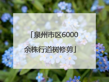泉州市区6000余株行道树修剪