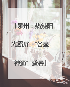 泉州：热辣阳光霸屏 “各显神通”避暑
