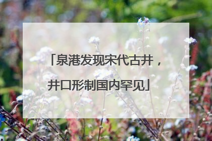 泉港发现宋代古井，井口形制国内罕见