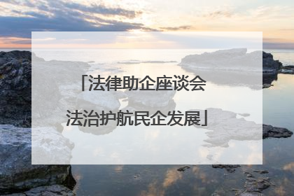 法律助企座谈会 法治护航民企发展