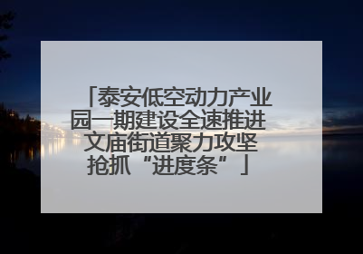 泰安低空动力产业园一期建设全速推进 文庙街道聚力攻坚抢抓“进度条”