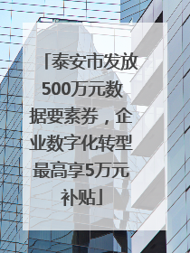 泰安市发放500万元数据要素券，企业数字化转型最高享5万元补贴