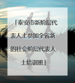泰安市新阶层代表人士参加全省新的社会阶层代表人士培训班