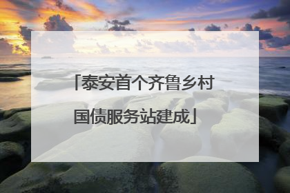泰安首个齐鲁乡村国债服务站建成