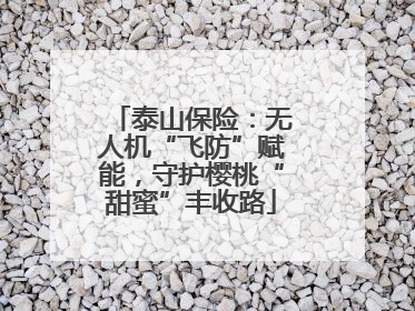 泰山保险：无人机“飞防”赋能，守护樱桃“甜蜜”丰收路
