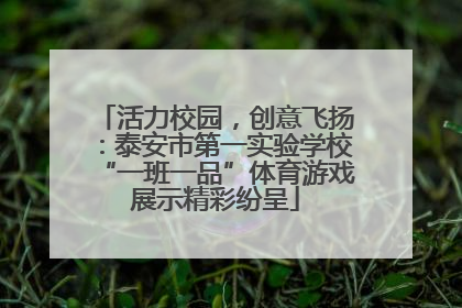 活力校园，创意飞扬：泰安市第一实验学校“一班一品”体育游戏展示精彩纷呈