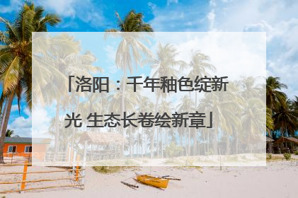 洛阳：千年釉色绽新光 生态长卷绘新章