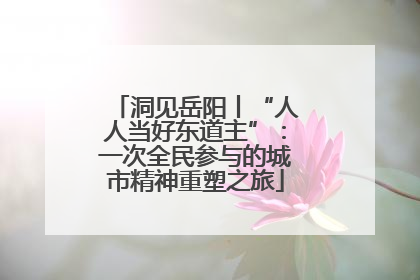 洞见岳阳丨“人人当好东道主”：一次全民参与的城市精神重塑之旅
