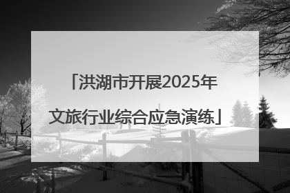洪湖市开展2025年文旅行业综合应急演练