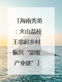 海南秀英：火山荔枝王串起乡村振兴“甜蜜产业链”