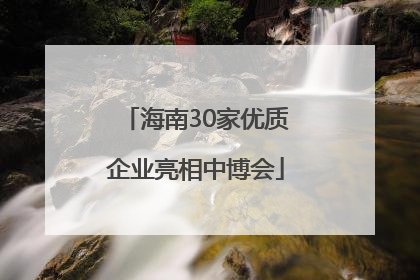 海南30家优质企业亮相中博会
