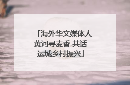 海外华文媒体人黄河寻麦香 共话运城乡村振兴