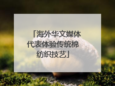 海外华文媒体代表体验传统棉纺织技艺