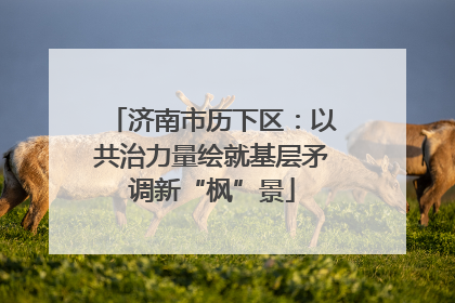 济南市历下区：以共治力量绘就基层矛调新“枫”景