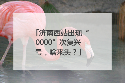 济南西站出现“0000”次复兴号，啥来头？