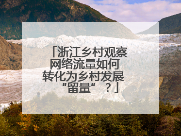 浙江乡村观察 网络流量如何转化为乡村发展“留量”？