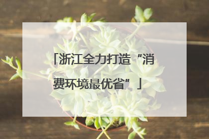 浙江全力打造“消费环境最优省”