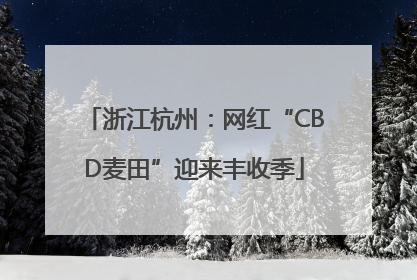 浙江杭州：网红“CBD麦田”迎来丰收季