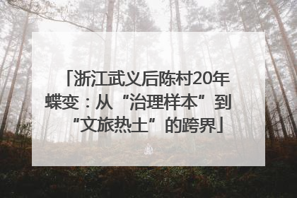 浙江武义后陈村20年蝶变：从“治理样本”到“文旅热土”的跨界