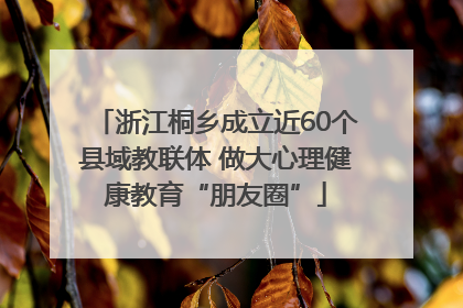 浙江桐乡成立近60个县域教联体 做大心理健康教育“朋友圈”