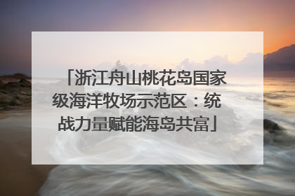 浙江舟山桃花岛国家级海洋牧场示范区：统战力量赋能海岛共富
