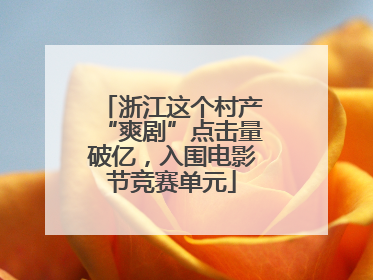 浙江这个村产“爽剧”点击量破亿，入围电影节竞赛单元
