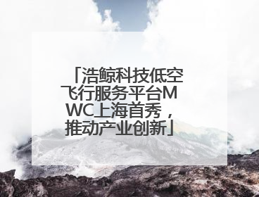 浩鲸科技低空飞行服务平台MWC上海首秀，推动产业创新
