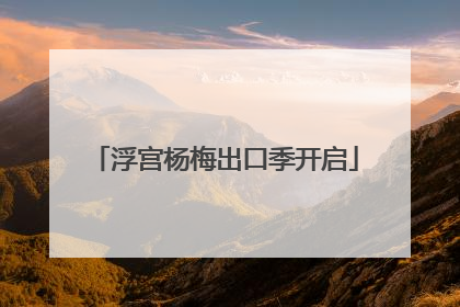 浮宫杨梅出口季开启