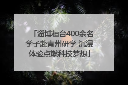 淄博桓台400余名学子赴青州研学 沉浸体验点燃科技梦想