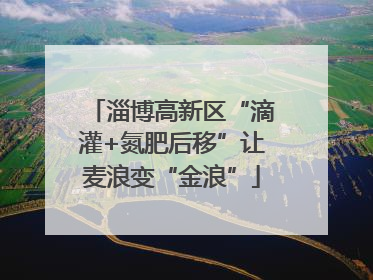 淄博高新区“滴灌+氮肥后移”让麦浪变“金浪”