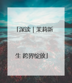 深读｜茉莉新生 跨界绽放