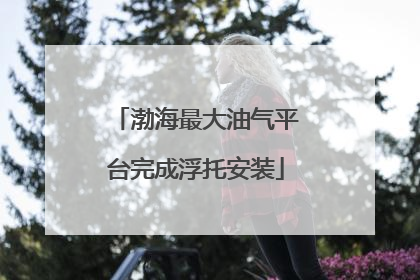 渤海最大油气平台完成浮托安装