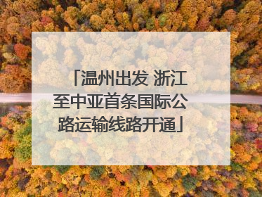 温州出发 浙江至中亚首条国际公路运输线路开通