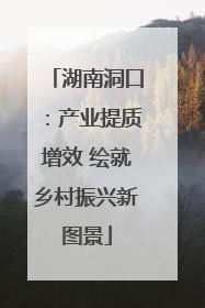 湖南洞口：产业提质增效 绘就乡村振兴新图景