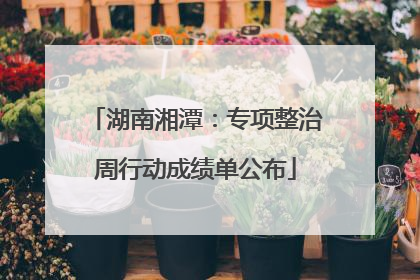 湖南湘潭：专项整治周行动成绩单公布